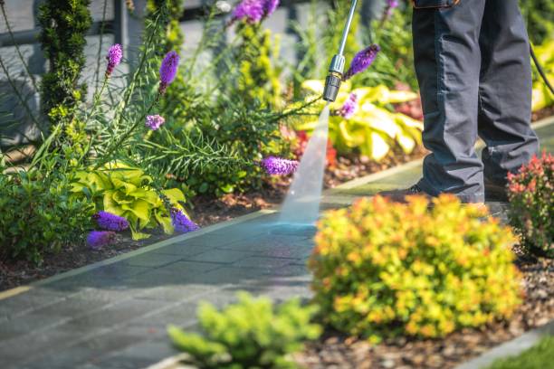 Best Patio and Deck Pressure Washing  in Guttenberg, NJ